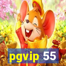 pgvip 55